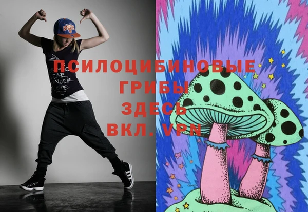 ешки Белоозёрский