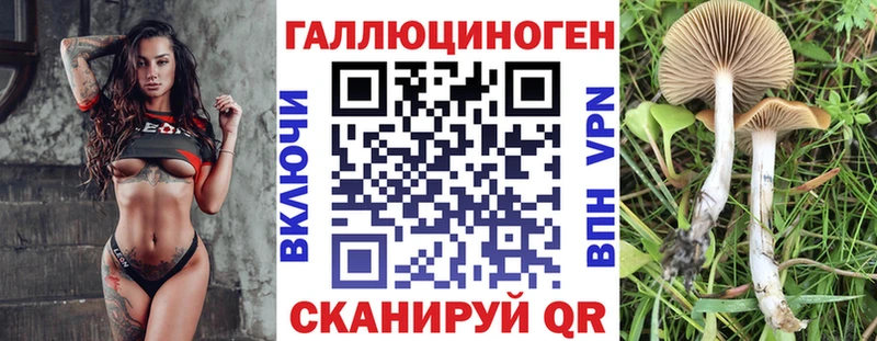 Псилоцибиновые грибы Magic Shrooms  Кувандык 